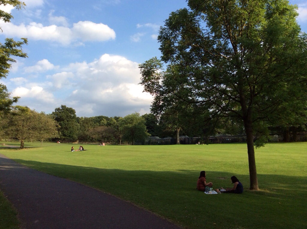 yoga and picnic in Hyde Park