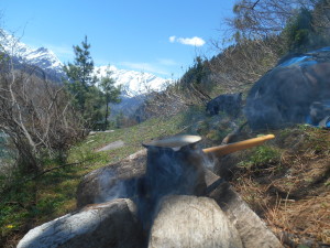 motivacia-silaprirodi