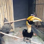 Birds Park Phuket